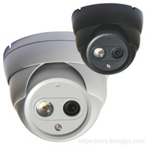 IR Waterproof and Vandal Proof CCD Dome Camera (ELP-DI6600)
